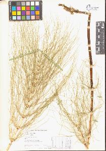 SW_BNB_s3070-04535_IMG-0000000001