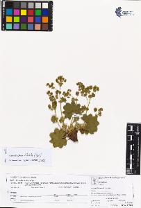 SW_BNB_s3070-04539_IMG-0000000001