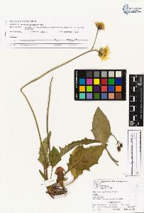 SW_BNB_s3070-04544_IMG-0000000001