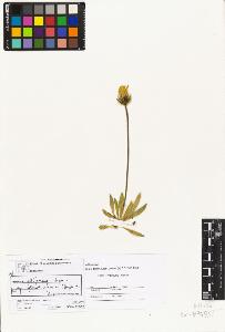 SW_BNB_s3070-04545_IMG-0000000001