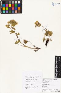 SW_BNB_s3070-04547_IMG-0000000001