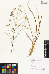 SW_BNB_s3070-04553_IMG-0000000001