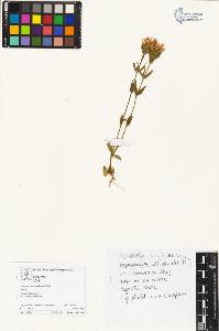 SW_BNB_s3070-04555_IMG-0000000001