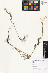 SW_BNB_s3070-04558_IMG-0000000001