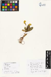 SW_BNB_s3070-04559_IMG-0000000001