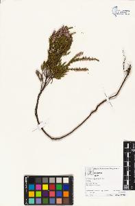 SW_BNB_s3070-04561_IMG-0000000001