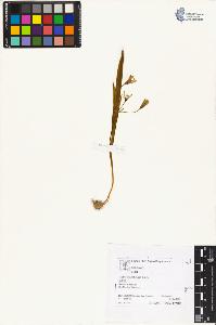SW_BNB_s3070-04566_IMG-0000000001