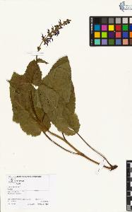 SW_BNB_s3070-04567_IMG-0000000001