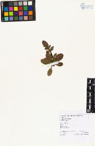SW_BNB_s3070-04569_IMG-0000000001