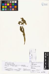 SW_BNB_s3070-04571_IMG-0000000001
