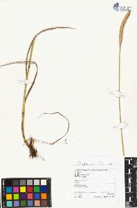 SW_BNB_s3070-04573_IMG-0000000001