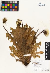 SW_BNB_s3070-04583_IMG-0000000001
