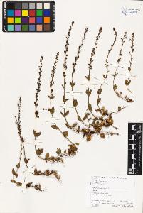SW_BNB_s3070-04589_IMG-0000000001