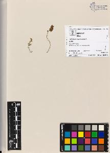 SW_BNB_s3070-04606_IMG-0000000001