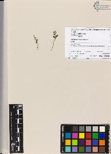 SW_BNB_s3070-04614_IMG-0000000001