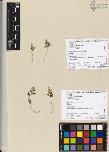 SW_BNB_s3070-04678_IMG-0000000001