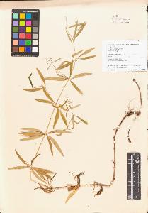 SW_BNB_s3070-04708_IMG-0000000001