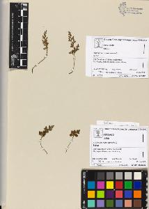 SW_BNB_s3070-04721_IMG-0000000001