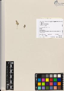 SW_BNB_s3070-04741_IMG-0000000001