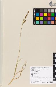 SW_BNB_s3070-04752_IMG-0000000001