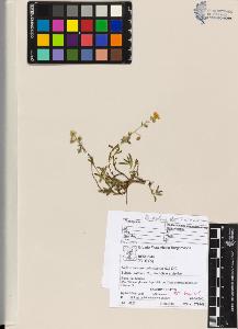 SW_BNB_s3070-04770_IMG-0000000001