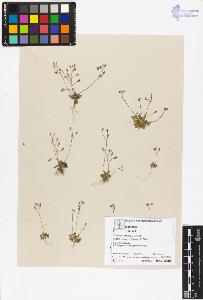 SW_BNB_s3070-04775_IMG-0000000001