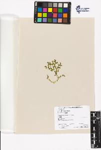 SW_BNB_s3070-04795_IMG-0000000001