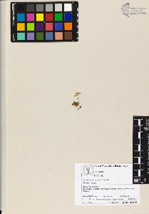 SW_BNB_s3070-04804_IMG-0000000001