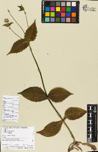 SW_BNB_s3070-04819_IMG-0000000001