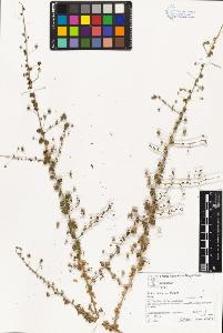 SW_BNB_s3070-04851_IMG-0000000001