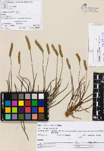 SW_BNB_s3070-04869_IMG-0000000001