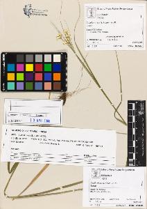 SW_BNB_s3070-04873_IMG-0000000001