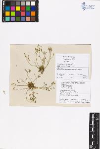 SW_BNB_s3070-04895_IMG-0000000001