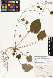 SW_BNB_s3070-04904_IMG-0000000001