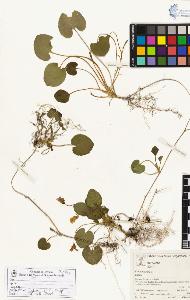 SW_BNB_s3070-04906_IMG-0000000001