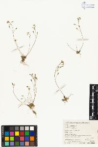 SW_BNB_s3070-04912_IMG-0000000001