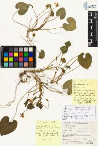 SW_BNB_s3070-04918_IMG-0000000001