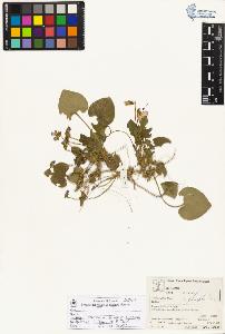 SW_BNB_s3070-04920_IMG-0000000001