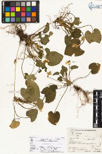 SW_BNB_s3070-04922_IMG-0000000001