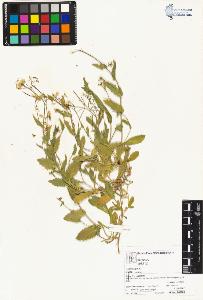 SW_BNB_s3070-04926_IMG-0000000001