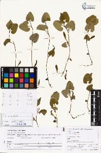 SW_BNB_s3070-04928_IMG-0000000001