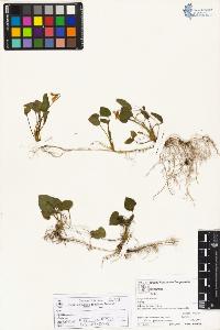 SW_BNB_s3070-04931_IMG-0000000001