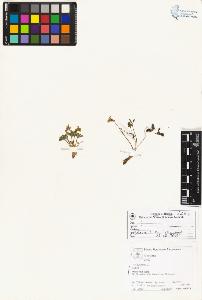 SW_BNB_s3070-04932_IMG-0000000001