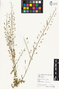 SW_BNB_s3070-04933_IMG-0000000001