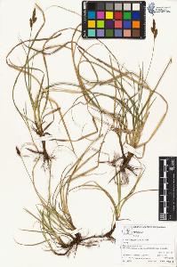 SW_BNB_s3070-04934_IMG-0000000001