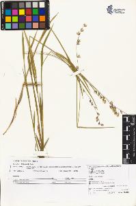 SW_BNB_s3070-04937_IMG-0000000001