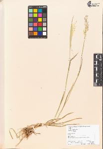SW_BNB_s3070-04940_IMG-0000000001