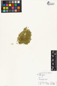 SW_BNB_s3070-04944_IMG-0000000001