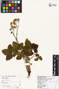 SW_BNB_s3070-04946_IMG-0000000001