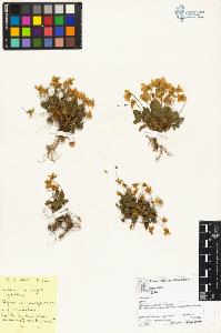 SW_BNB_s3070-04948_IMG-0000000001